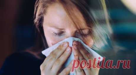 Врач Орлова: от вида ОРЗ зависит лечение и подбор лекарств. Врач высшей категории профессор кафедры факультетской терапии института материнства и детства Пироговского Университета Наталья Орлова рассказала, что от вида ОРЗ зависит лечение и подбор препаратов. Читать далее