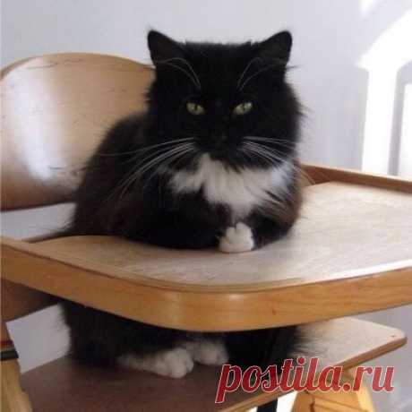 Ученик