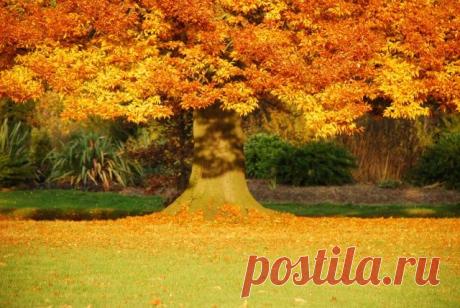 autumn10.jpg (640×429)