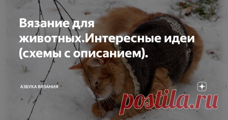 Вязание для животных.Интересные идеи (схемы с описанием).