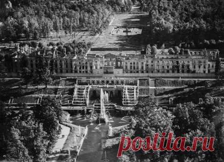 Дворцы, вернувшиеся с войны. 75 лет освобождению Петергофа от немецкой оккупации - ТАСС