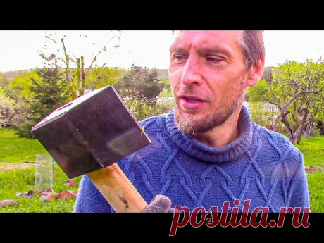 День КОЛУНА и Экскурсия по цветущему САДУ Художника в ДЕРЕВНЕ