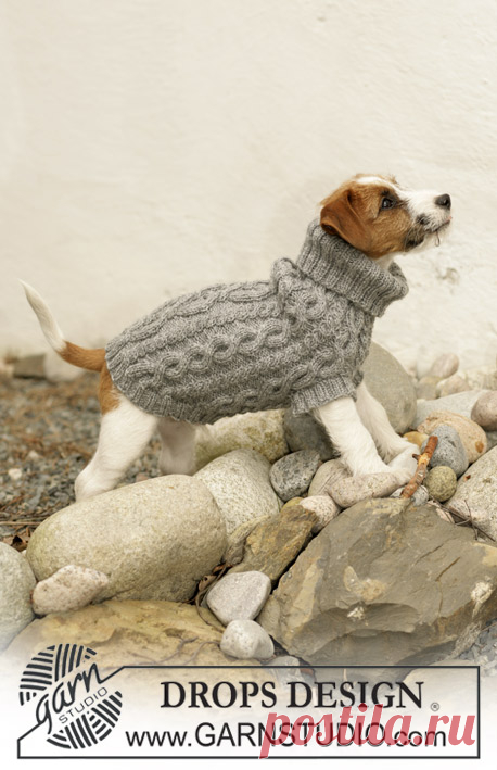 The Lookout - Knitted DROPS dog coat in ”Karisma” with cable pattern. - Free pattern by DROPS Design