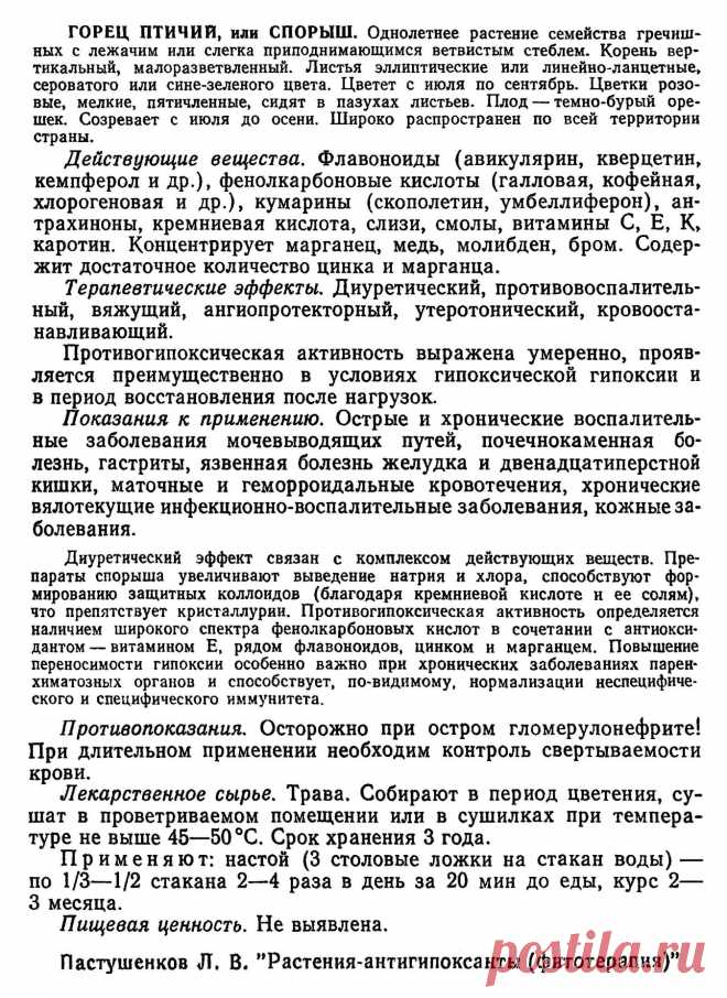 Горец птичий или спорыш