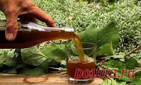 Очищение сосудов головного мозга. Проверенные методики
 
Очищение сосудов головного мозга очень важная процедура, которая способна значительно улучшить ваше самочувствие при ряде заболеваний, от остеохондроза шейного отдела до атеросклероза. Регулярное очищение сосудов позволит вам избавиться от тяжести в голове, исчезнут головные боли, прояснится сознание, улучшится настроение. Мы подготовили для вас 5 эффективных и проверенных рецептов очищения сосудов головного мозга.
 ...