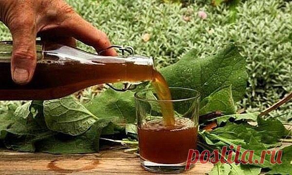 Очищение сосудов головного мозга. Проверенные методики
 
Очищение сосудов головного мозга очень важная процедура, которая способна значительно улучшить ваше самочувствие при ряде заболеваний, от остеохондроза шейного отдела до атеросклероза. Регулярное очищение сосудов позволит вам избавиться от тяжести в голове, исчезнут головные боли, прояснится сознание, улучшится настроение. Мы подготовили для вас 5 эффективных и проверенных рецептов очищения сосудов головного мозга.
 ...