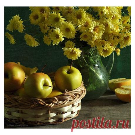 Неизвестный гений: художественная галерея, музыка, литература, фотография
