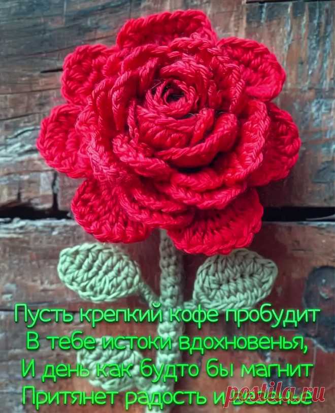 Открытка доброе утро с розой