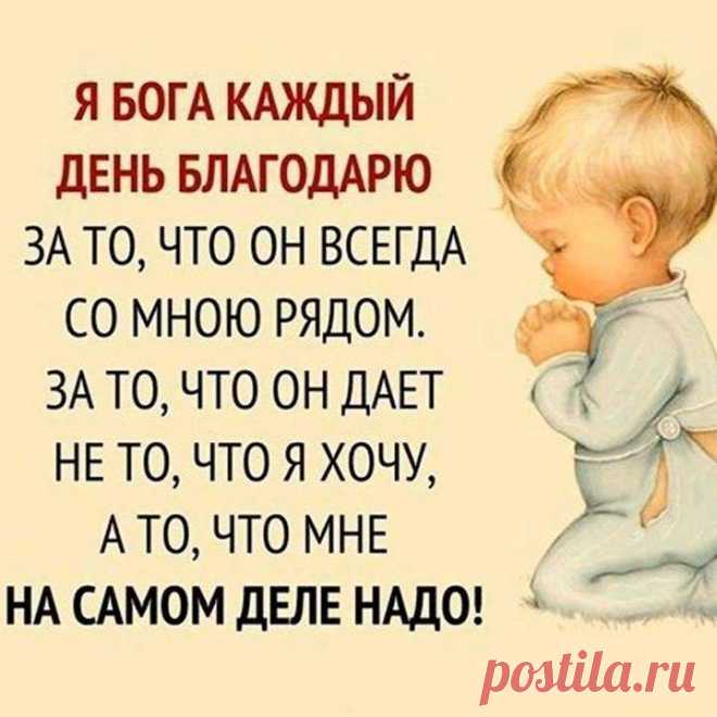 (4) Фитхакер - Публикации