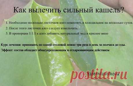 Как вылечить сильный кашель? - &quot;Секреты красоты и здоровья&quot; - wwo2009@mail.ru - Почта Mail.Ru