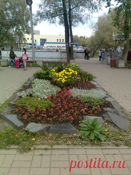 это в парке на Прудах