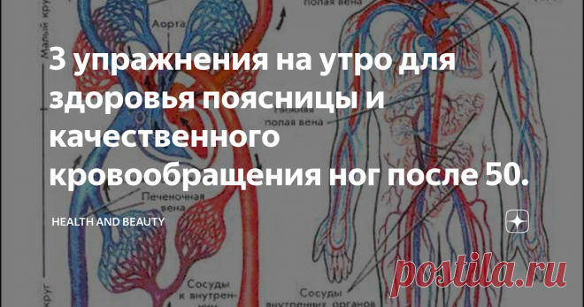 3 упражнения на утро для здоровья поясницы и качественного кровообращения ног после 50. Возраст не показатель здоровья, многие люди после 50 лет могут оказаться куда более здоровыми, чем молодые. Все дело в отношении к своему телу, если поддерживать правильный образ жизни и заниматься профилактикой возрастных заболеваний можно провести активную старость без ограничений.
Утреннюю зарядку не стоит недооценивать, ее польза неоспорима. Систематическое выполнение даже простых упражнений
