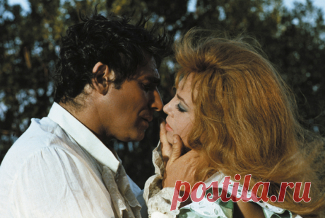 Невероятно красивая женщина, идеал женской красоты и обаяния, смотришь на нее, как на прекрасный цветок и не можешь насмотреться.

Мишель Мерсье по праву входит в десятку самых красивых женщин всех времен и народов. Сколько бы не было прекраснейших девушек в мире, таких как Мишель Мерсье больше не существует. Идеал красоты, несмотря на то, что вкусы меняются, но этот идеал остается на самом высочайшем пьедестале.