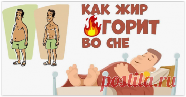Ночная алхимия: как ваш сон может помочь сжечь висцеральный жир.