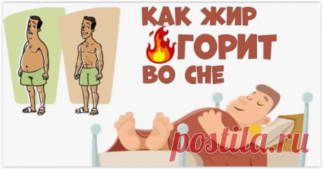 Ночная алхимия: как ваш сон может помочь сжечь висцеральный жир.