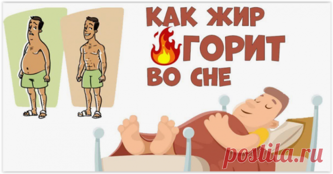 Ночная алхимия: как ваш сон может помочь сжечь висцеральный жир.