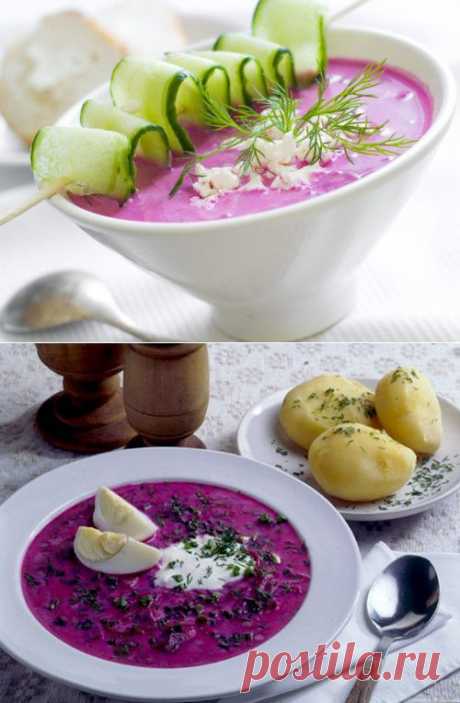 Холодный борщ: 5 самых вкусных рецептов