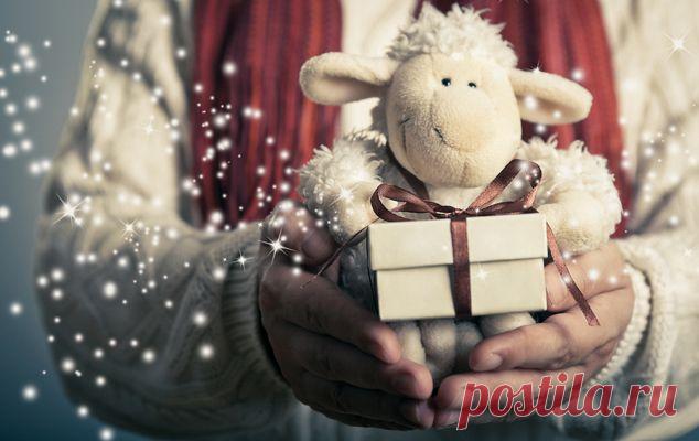 Любовь и романтика в год Овцы. Тарологический прогноз | Гороскоп