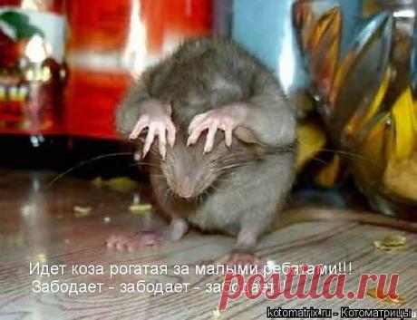 ХОЧЕШЬ ЖИТЬ-УМЕЙ ВЕРТЕТЬСЯ