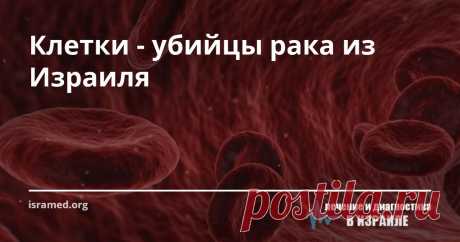 Клетки - убийцы рака из Израиля Занимаясь разработкой нового способа лечения рака, израильские ученые выяснили, что добиться успеха можно лишь посредством изменения иммунной системы. Для достижения этой цели израильтяне использовали лейкоциты, способные активно бороться с зараженными вирусом клетками и другими атаками на наш организм.