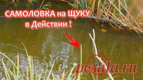 Самоловка(жерлица) на щуку Зима\Лето изготовление и тест на рыбалке | Самоделки для рыбалки | Дзен
