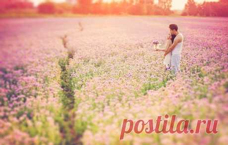 Семи пядей во лбу
Не скупитесь на чувства, на ласку и нежность,
Не жалейте любви, не щадите тепла,
Виновата во всем наша вечная спешность,
Леность нашей души… и была, не была…