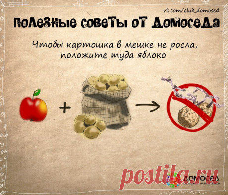 НУ ОООЧЕНЬ ПОЛЕЗНЫЕ СОВЕТЫ    от ДОМОСЕДА !