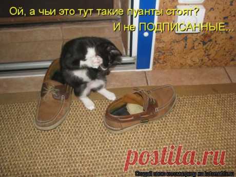 Почти Одноклассники))) | KotoMail.ru