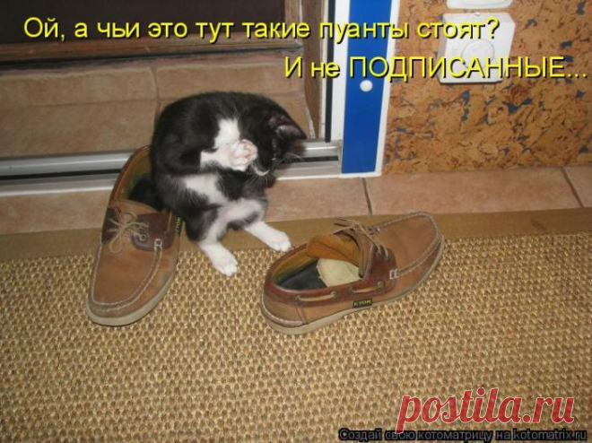 Почти Одноклассники))) | KotoMail.ru