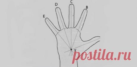 Определяем свою стихию по ладони