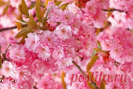 Долгожданный конец марта