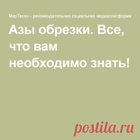 (83) Азы обрезки. Все, что вам необходимо знать! | Дача...огород