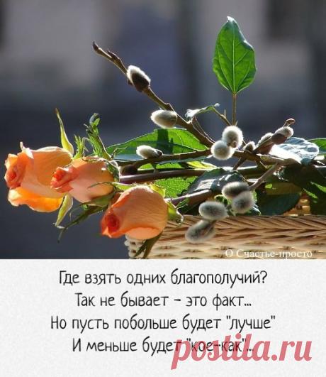 Интересные новости