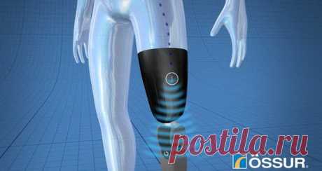 ПРОРЫВ В БИОИНЖЕНЕРИИ: СОЗДАНЫ ПОДСОЗНАТЕЛЬНО УПРАВЛЯЕМЫЕ ПРОТЕЗЫ НИЖНИХ КОНЕЧНОСТЕЙ / Интересное в IT
