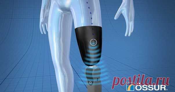 ПРОРЫВ В БИОИНЖЕНЕРИИ: СОЗДАНЫ ПОДСОЗНАТЕЛЬНО УПРАВЛЯЕМЫЕ ПРОТЕЗЫ НИЖНИХ КОНЕЧНОСТЕЙ / Интересное в IT