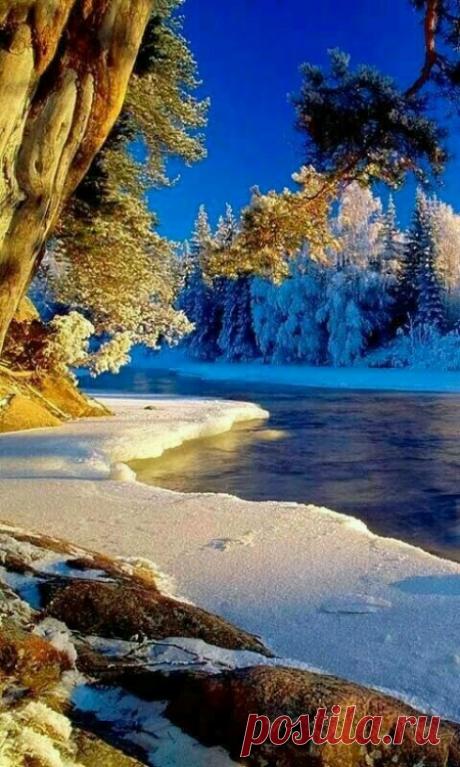 Naturaleza — 🍃🌹🍃🌷🍃🌹🍃🌷🍃🌹🍃