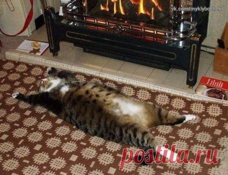 Труд, конечно, облагораживает... Зато безделье делает счастливым!