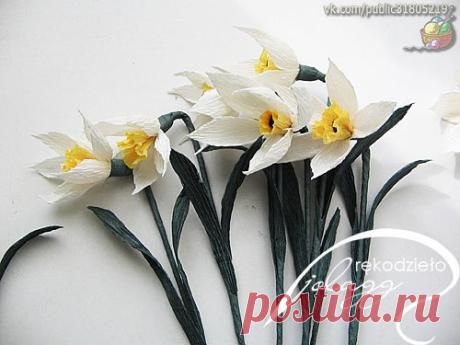 Фотографии на стене сообщества – 48 034 фотографии