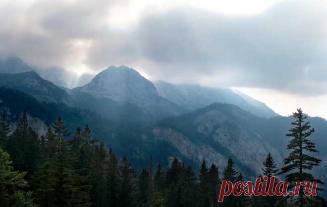 (4) Montenegro Outdoor Team