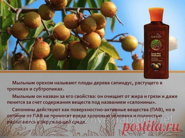 Купить Шампунь на основе мыльного ореха, 300 мл Запорожье и Украине от компании "ТианДе"