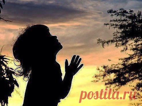 Сила молитвы не в многословии, а в искренности молитвенного вздоха.