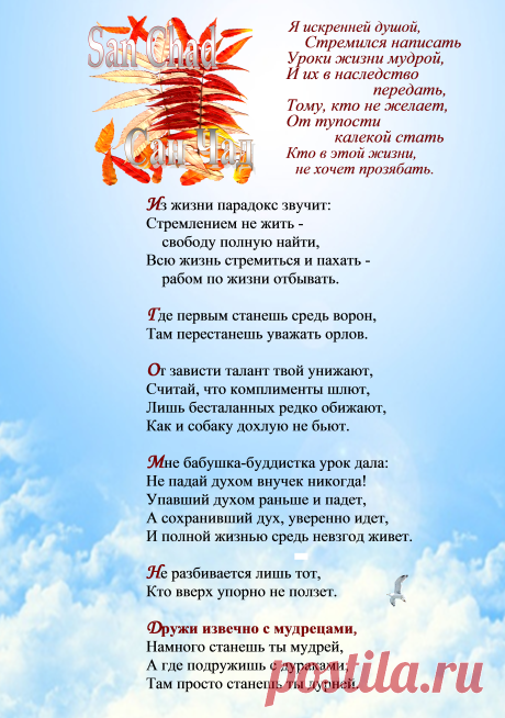 Поэтические софиты Сан Чада  о мудрости