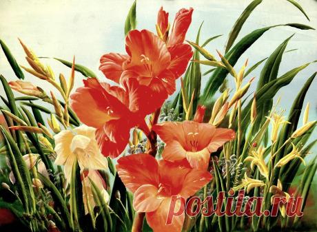 Daum 블로그 - 이미지 원본보기