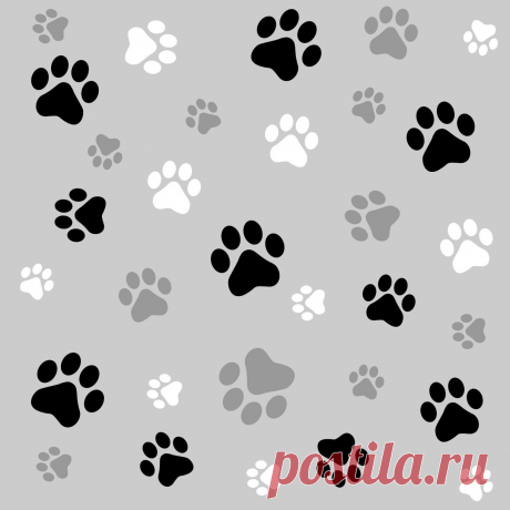 (72) Одноклассники