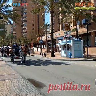 ОБЩЕСТВЕННО-ПОЛЕЗНОЕ ВИДЕО!!! 
Полностью