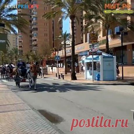 ОБЩЕСТВЕННО-ПОЛЕЗНОЕ ВИДЕО!!! 
Полностью