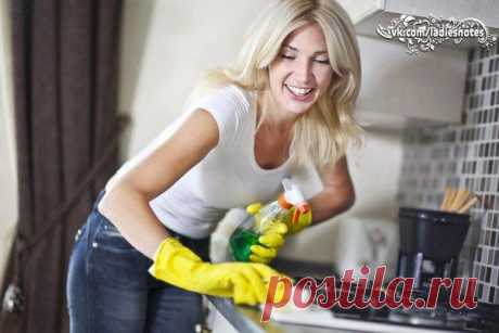 Кухонная эко-находка! Спрей для чистки кухонных поверхностей. | Женский журнал
