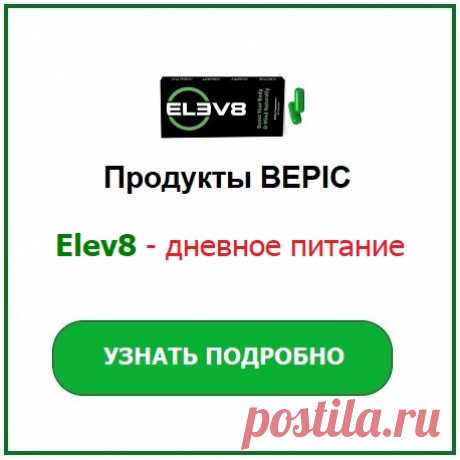 ОБУЧЕНИЕ | Компания Bepic