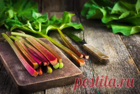 Ревень: что приготовить из сочных черешков
Из черешков ревеня можно приготовить множество вкуснейших десертов – особенно хорош он в тертом пироге! Ревень богат витаминами, особенно А, С и В, в нем много железа и магния. Употребление кислых че…