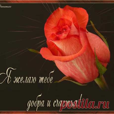 (2) Одноклассники